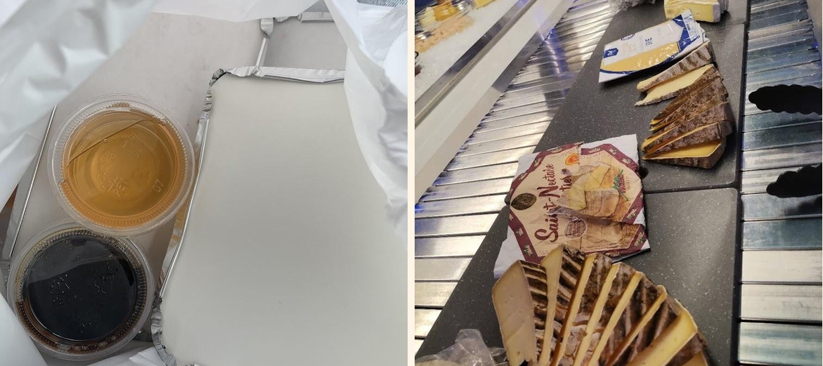 Royal d'asie - Gallery Image 5